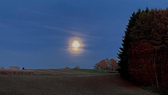 Foto des aufgehenden Vollmonds, leicht verdeckt von Schleierwolken, Bäume mit buntem Herbstlaub und ein Acker sind zu erkennen.